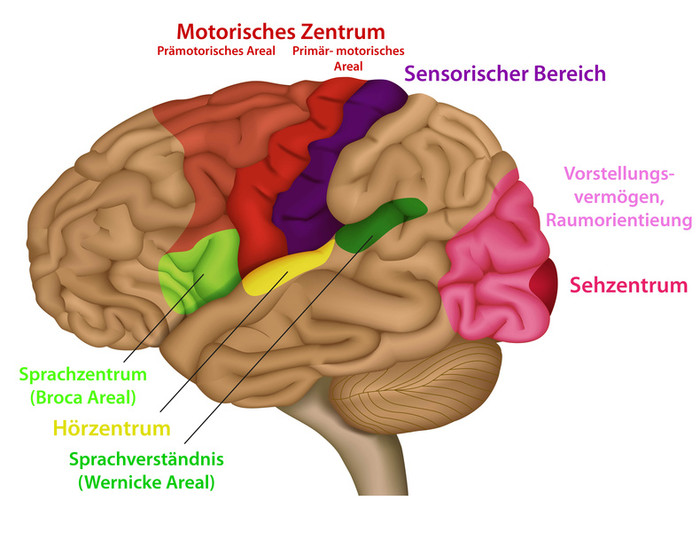 Neuropsychologie